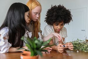 students working on science experiment