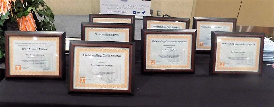 tpte recognition