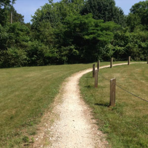 Photo of trail at Knoxville Urban Wilderness on a sunny day